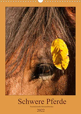 Kalender Schwere Pferde - Faszinierende Herzensbrecher (Wandkalender 2022 DIN A3 hoch) von Meike Bölts