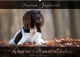 Kalender Passion Jagdhund - Kleiner Münsterländer (Wandkalender 2022 DIN A2 quer) von Nadine Gerlach