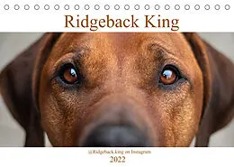 Kalender Ridgeback King (Tischkalender 2022 DIN A5 quer) von Julia Sölter