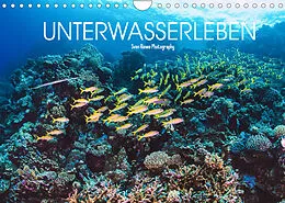 Kalender Unterwasserleben (Wandkalender 2022 DIN A4 quer) von Sven Riewe