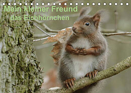 Kalender Mein kleiner Freund das Eichhörnchen (Tischkalender 2022 DIN A5 quer) von Rufotos