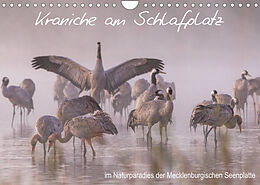 Kalender Kraniche am Schlafplatz - im Naturparadies der Mecklenburgischen Seenplatte (Wandkalender 2022 DIN A4 quer) von André Pretzel - FotoPretzel