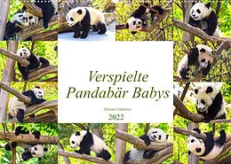 Kalender Pandabär Babys (Wandkalender 2022 DIN A2 quer) von Simone Gatterwe