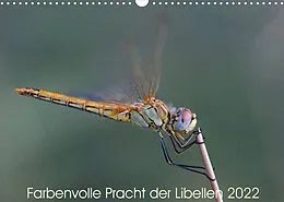 Kalender Farbenvolle Pracht der Libellen (Wandkalender 2022 DIN A3 quer) von Dany´s Blickwinkel
