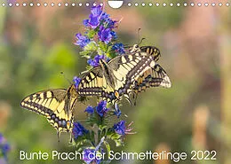Kalender Bunte Pracht der Schmetterlinge (Wandkalender 2022 DIN A4 quer) von Dany´s Blickwinkel