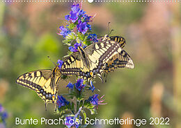 Kalender Bunte Pracht der Schmetterlinge (Wandkalender 2022 DIN A2 quer) von Dany´s Blickwinkel