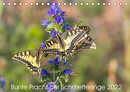 Kalender Bunte Pracht der Schmetterlinge (Tischkalender 2022 DIN A5 quer) von Dany´s Blickwinkel
