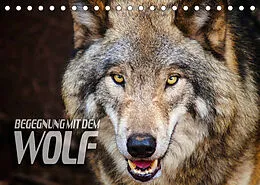 Kalender Begegnung mit dem Wolf (Tischkalender 2022 DIN A5 quer) von Renate Bleicher