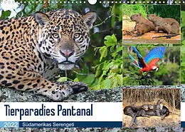 Kalender Tierparadies Pantanal (Wandkalender 2022 DIN A3 quer) von Michael und Yvonne Herzog