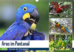 Kalender Aras im Pantanal (Wandkalender 2022 DIN A3 quer) von Yvonne und Michael Herzog