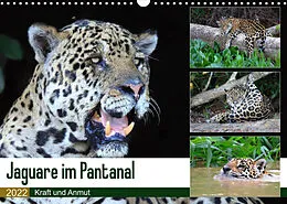 Kalender Jaguare im Pantanal (Wandkalender 2022 DIN A3 quer) von Yvonne und Michael Herzog