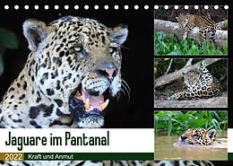 Kalender Jaguare im Pantanal (Tischkalender 2022 DIN A5 quer) von Yvonne und Michael Herzog