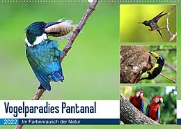 Kalender Vogelparadies Pantanal (Wandkalender 2022 DIN A2 quer) von Yvonne und Michael Herzog