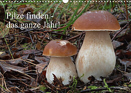 Kalender Pilze finden - das ganze Jahr! (Wandkalender 2022 DIN A3 quer) von Rudolf Bindig