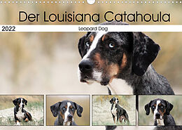 Kalender Der Louisiana Catahoula Leopard Dog (Wandkalender 2022 DIN A3 quer) von SchnelleWelten