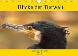 Kalender Blicke der Tierwelt (Wandkalender 2022 DIN A4 quer) von Kevin Andreas Lederle