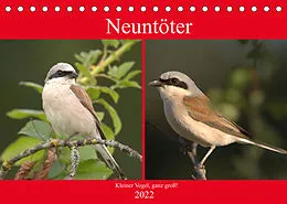 Kalender Neuntöter - Kleiner Vogel, ganz groß! (Tischkalender 2022 DIN A5 quer) von Kevin Andreas Lederle