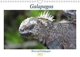Kalender Galapagos 2022 - Tiere auf Galapagos (Wandkalender 2022 DIN A4 quer) von Ralf Biebeler
