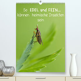 Kalender So EDEL und FEIN... können heimische Insekten sein (Premium, hochwertiger DIN A2 Wandkalender 2022, Kunstdruck in Hochglanz) von Karin Berger (Kabefa)