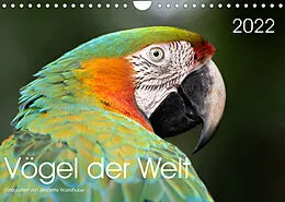 Kalender Vögel der Welt (Wandkalender 2022 DIN A4 quer) von Jeanette Wüstehube