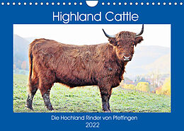 Kalender Highland Cattle, die Hochlandrinder aus Pfeffingen (Wandkalender 2022 DIN A4 quer) von Günther Geiger