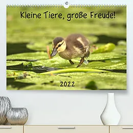 Kalender Kleine Tiere, große Freude! (Premium, hochwertiger DIN A2 Wandkalender 2022, Kunstdruck in Hochglanz) von Kevin Andreas Lederle