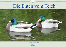 Kalender Die Enten vom Teich (Wandkalender 2022 DIN A4 quer) von Verena Mahrhofer