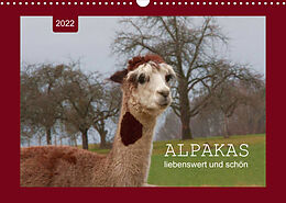 Kalender Alpakas - liebenswert und schön (Wandkalender 2022 DIN A3 quer) von Angelika Keller