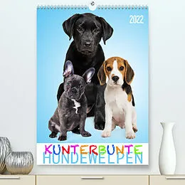 Kalender Kunterbunte Hundewelpen (Premium, hochwertiger DIN A2 Wandkalender 2022, Kunstdruck in Hochglanz) von Judith Dzierzawa - DoraZett