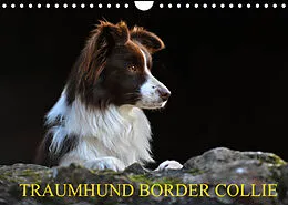 Kalender Traumhund Border Collie (Wandkalender 2022 DIN A4 quer) von Sigrid Starick