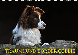 Kalender Traumhund Border Collie (Wandkalender 2022 DIN A2 quer) von Sigrid Starick
