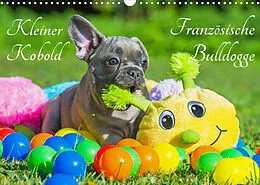 Kalender Kleiner Kobold Französische Bulldogge (Wandkalender 2022 DIN A3 quer) von Sigrid Starick