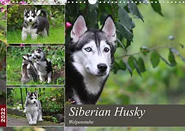 Kalender Siberian Husky - Welpenstube (Wandkalender 2022 DIN A3 quer) von Barbara Mielewczyk
