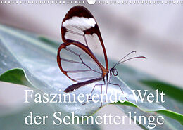 Kalender Faszinierende Welt der Schmetterlinge (Wandkalender 2022 DIN A3 quer) von Pocketkai