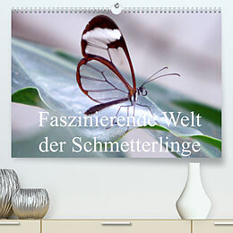 Kalender Faszinierende Welt der Schmetterlinge (Premium, hochwertiger DIN A2 Wandkalender 2022, Kunstdruck in Hochglanz) von Pocketkai