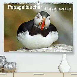 Kalender Papageitaucher - kleine Vögel ganz groß! (Premium, hochwertiger DIN A2 Wandkalender 2022, Kunstdruck in Hochglanz) von Babett Paul - Babett's Bildergalerie