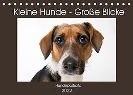 Kalender Kleine Hunde - Große Blicke (Tischkalender 2022 DIN A5 quer) von Akrema-Photography