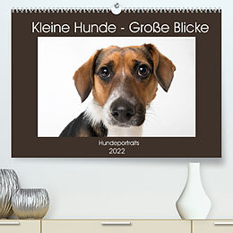 Kalender Kleine Hunde - Große Blicke (Premium, hochwertiger DIN A2 Wandkalender 2022, Kunstdruck in Hochglanz) von Akrema-Photography