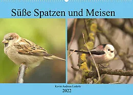 Kalender Süße Spatzen und Meisen (Wandkalender 2022 DIN A2 quer) von Kevin Andreas Lederle
