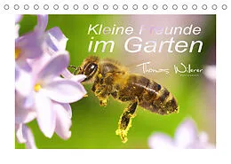 Kalender Kleine Freunde im Garten (Tischkalender 2022 DIN A5 quer) von Thomas Willerer