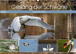 Kalender Gesang der Schwäne (Wandkalender 2022 DIN A2 quer) von Ursula Di Chito