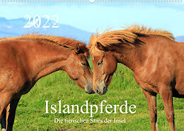 Kalender Islandpferde - Die tierischen Stars der Insel (Wandkalender 2022 DIN A2 quer) von Rainer Grosskopf