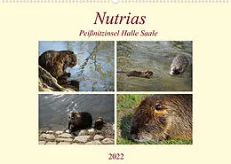 Kalender Nutrias Peißnitzinsel Halle Saale (Wandkalender 2022 DIN A2 quer) von Babett Paul - Babett's Bildergalerie