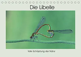 Kalender Die Libelle - tolle Schöpfung der Natur (Tischkalender 2022 DIN A5 quer) von Rufotos