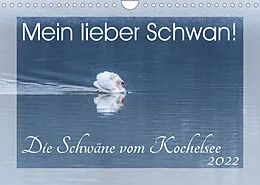 Kalender Mein lieber Schwan! Die Schwäne vom Kochelsee. (Wandkalender 2022 DIN A4 quer) von Irma van der Wiel www.kalender-atelier.de