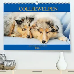 Kalender Colliewelpen - kleine Collies erobern die Welt (Premium, hochwertiger DIN A2 Wandkalender 2022, Kunstdruck in Hochglanz) von Sigrid Starick