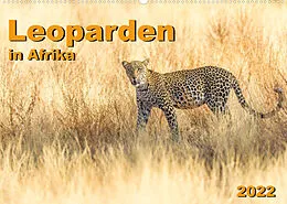 Kalender Leoparden in Afrika (Wandkalender 2022 DIN A2 quer) von Dr. Gerd-Uwe Neukamp