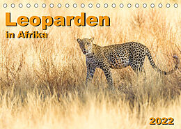 Kalender Leoparden in Afrika (Tischkalender 2022 DIN A5 quer) von Dr. Gerd-Uwe Neukamp