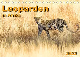 Kalender Leoparden in Afrika (Tischkalender 2022 DIN A5 quer) von Dr. Gerd-Uwe Neukamp