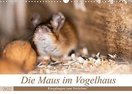 Kalender Die Maus im Vogelhaus (Wandkalender 2022 DIN A3 quer) von Passion Photography by Nicole Peters
